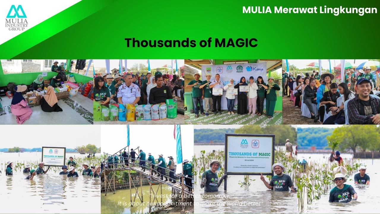 MULIA Merawat Lingkungan: Thousands of MAGIC